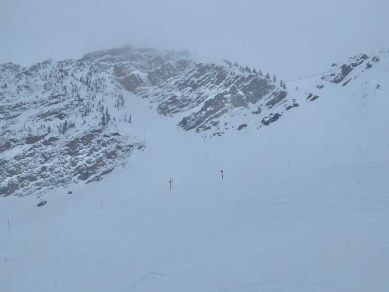 Kicking Horse, Canada. Image © PlanetSKI